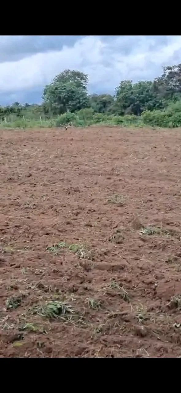 Foto - São Gonçalo dos Campos - 