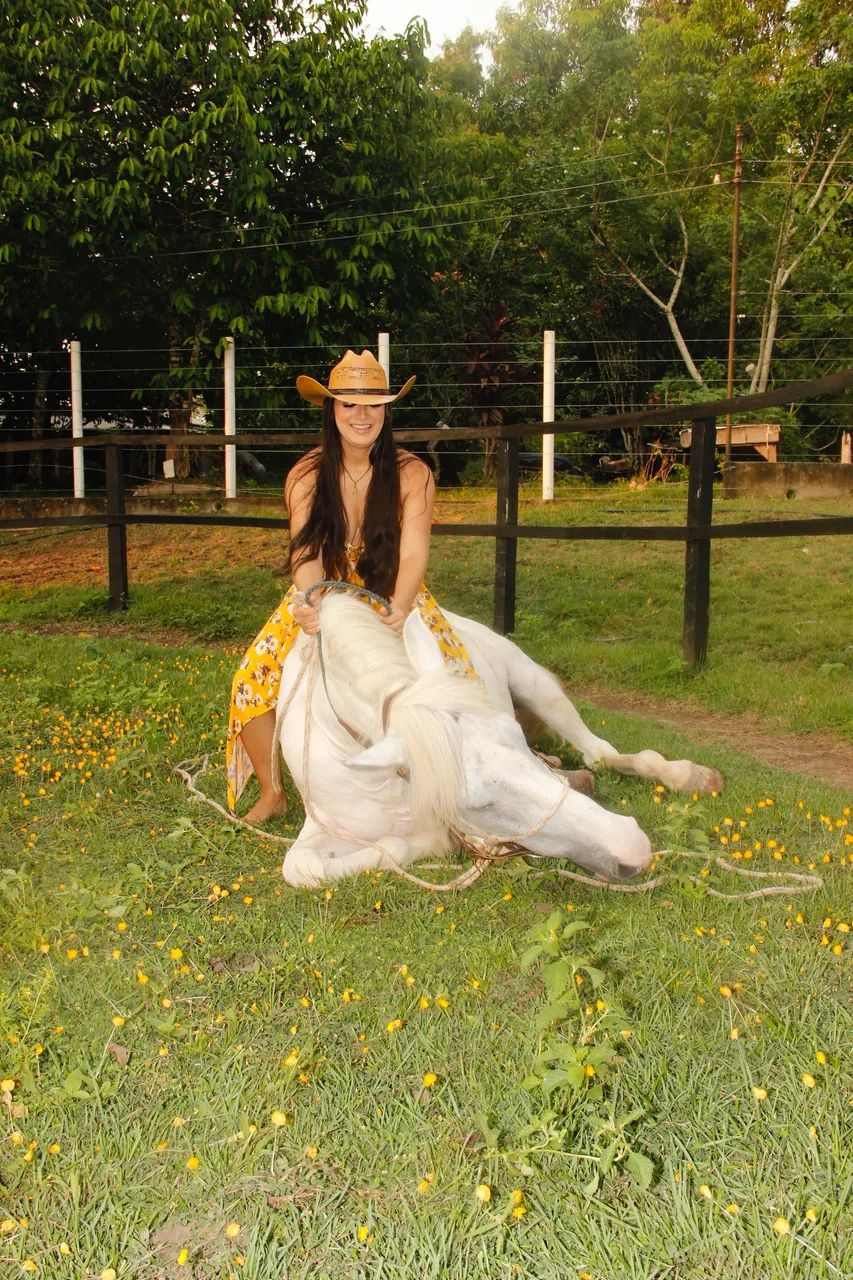 Cavalo manga larga marchador  - Foto 6