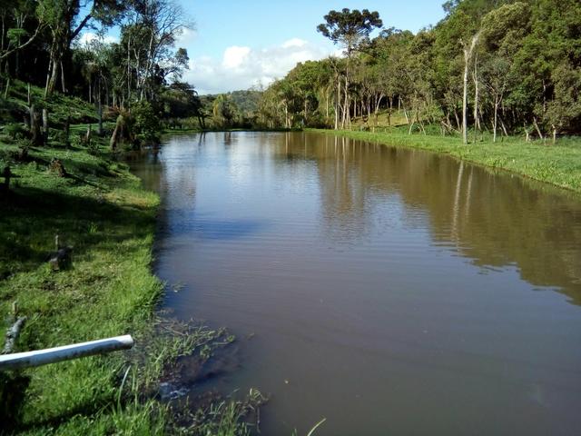 Chácara com 22.000 m2 - Foto 6
