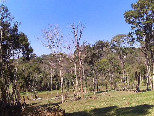 Chacara com 22.000m2 - Foto 5