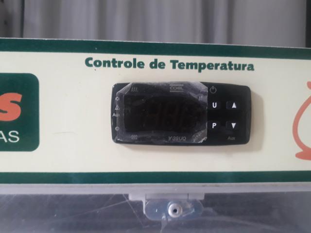 Chocadeira 120 ovos