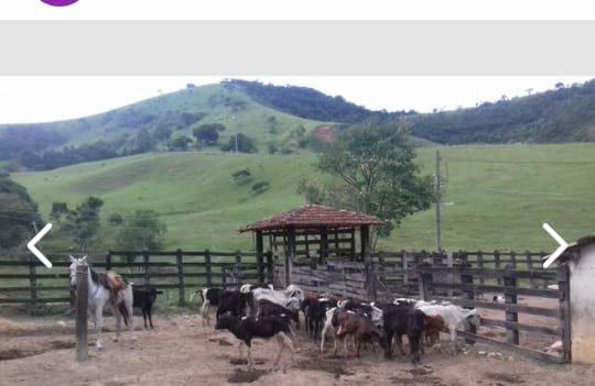 Vendo Fazenda Lorena - Foto 2