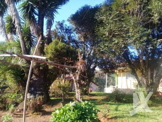 Chácara - venda, 176.055 m² por r$ 1.500.000 - botiatuva - - campo largo - pr - Foto 7