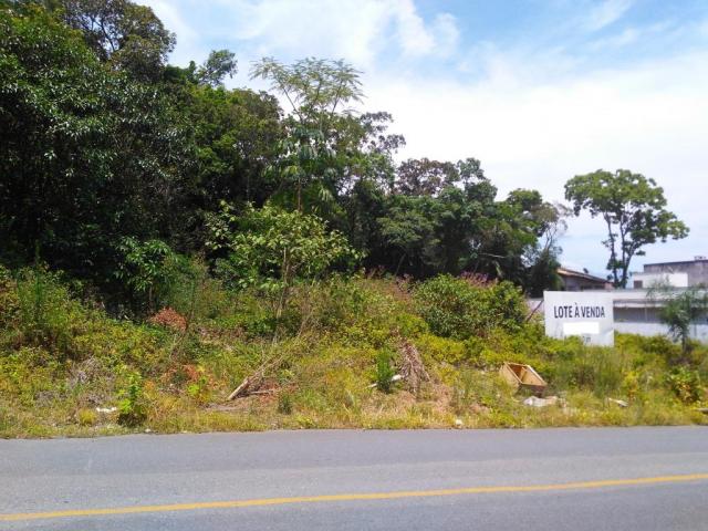 Terreno à venda em Saguaçú, Joinville cod:1404 - Foto 3