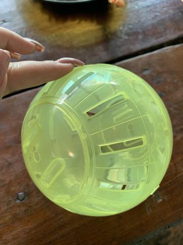 Bola hamster