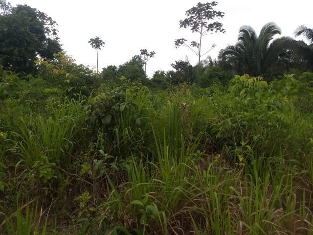 Lote, na Vila Paulo Fonteles - Foto 3