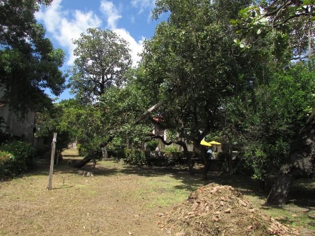 Vendo: Casa em Alter do Chão, 70 - Foto 11