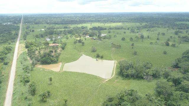 Fazenda Próxima de Rio Branco