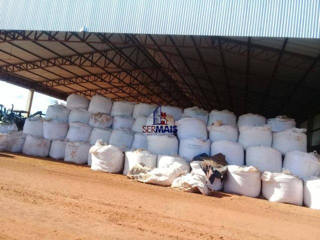 Fazenda à venda, por R$ 220.000.000 - Zona Rural - Sinop/MT - Foto 4