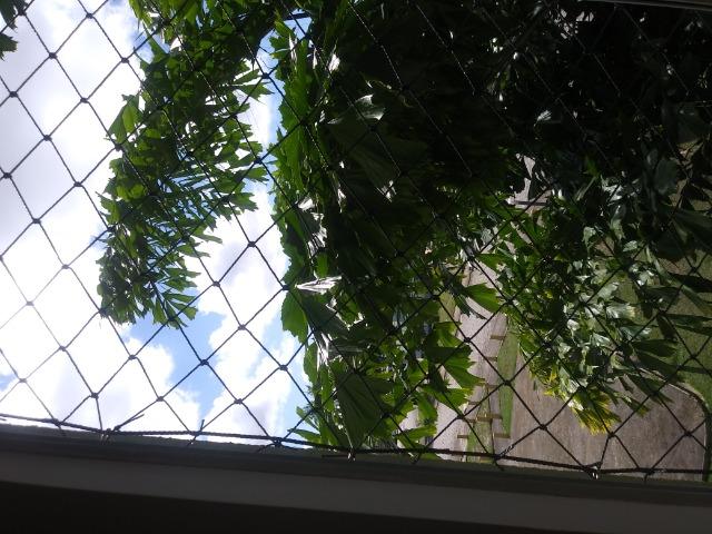 Apartamento - Foto 2