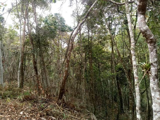 SG Arquitetura e Imóveis. Excelentes terrenos em condomínio no Golf - Foto 3