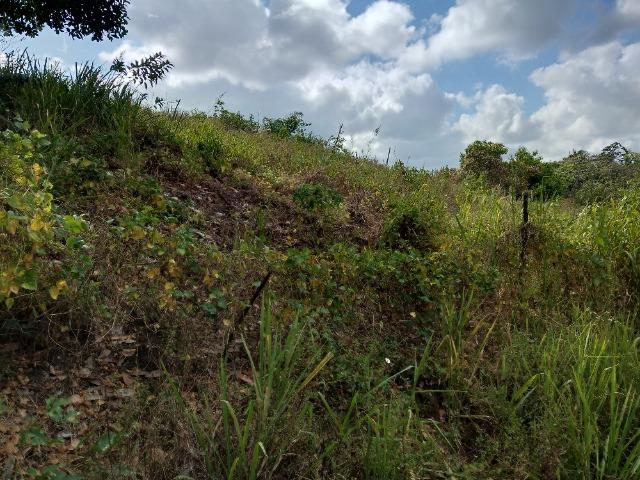 Vendo terreno 30X30 - Foto 3