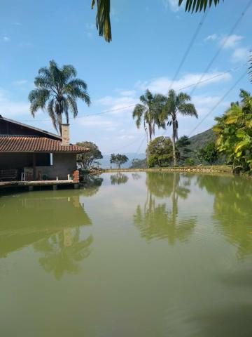 Sítio tifa bom Jesus reflorestamento - Foto 4