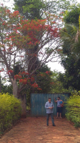 Chaçará Residencial de Chacaras Itanhangá - Foto 17