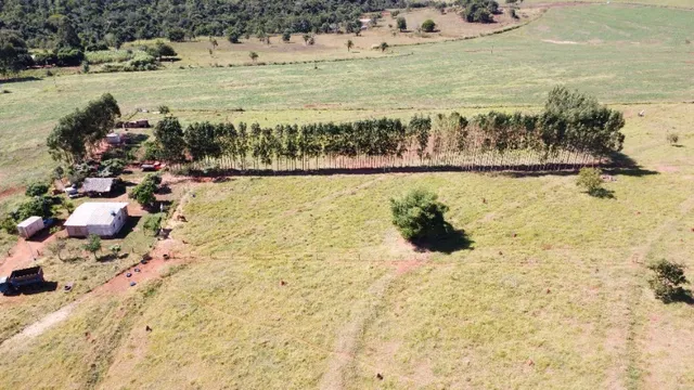 9 hectares a 1,5 km da cidade de Bandeirantes!