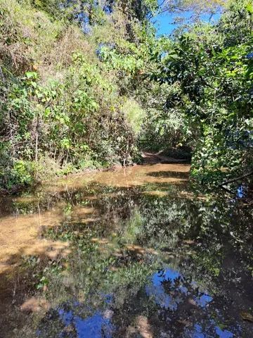 Fazenda Goiás área pra Reserva - Foto 2