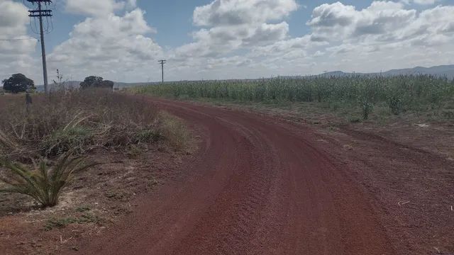 FAZENDA COM 800HEC PRA IRRIGAÇÃO, SOLO VERMELHO!! - Foto 5