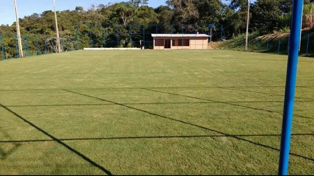 Gramas fértil  - Foto 3