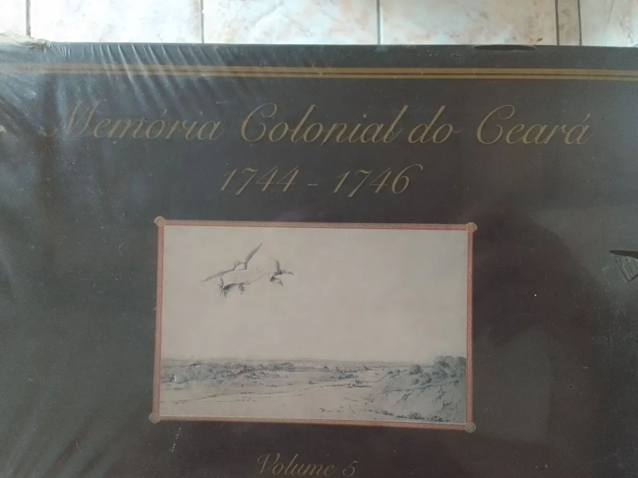Memória Colonial do Ceará Volume 5 - 1744-1746