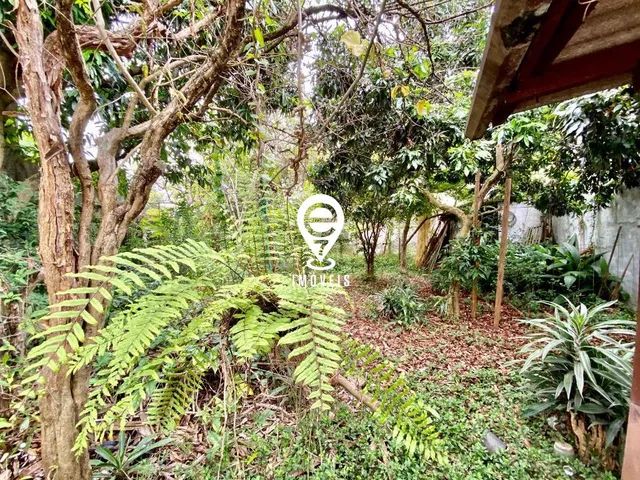 Terreno à venda, Mirandópolis - São Paulo/SP - Foto 4