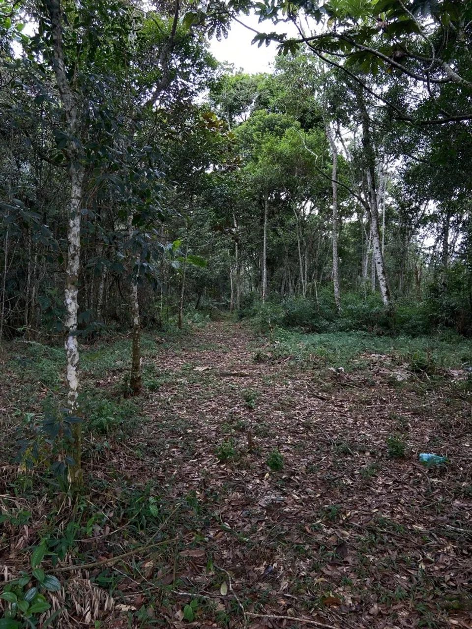 Lotes em São Lourenço da Serra  - Foto 3