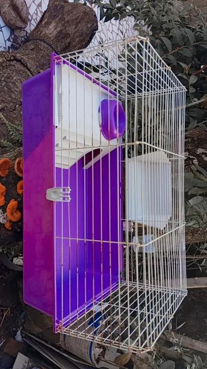 Gaiola para Roedores - Roxo - Foto 2
