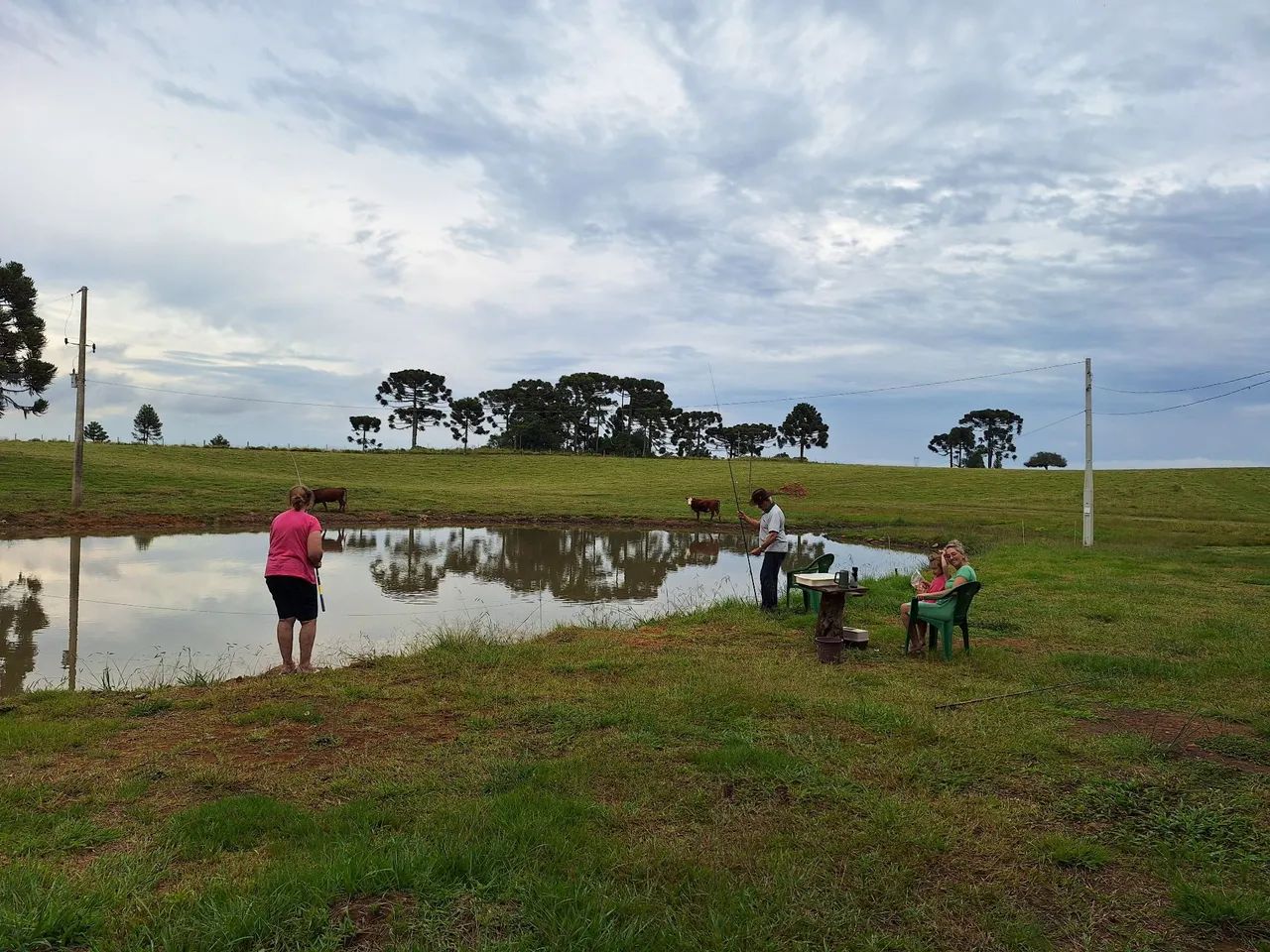 Linda área de campo na serra gaúcha. - Foto 5