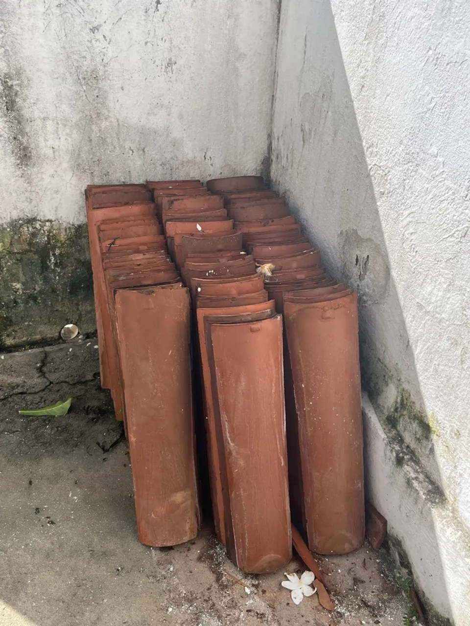 Telhas de Barro para Construção - Durabilidade e Beleza