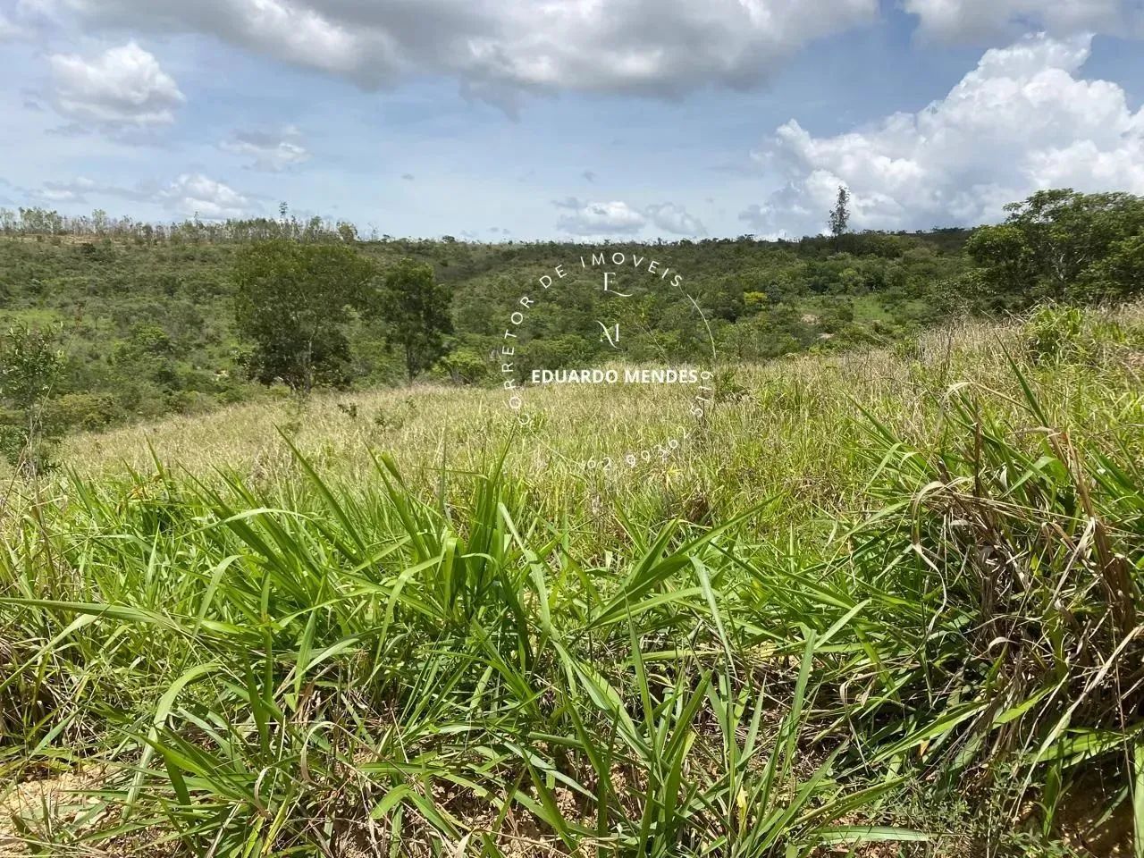 Linda chácara com 17.74 hectares, rica em água, 500 metros da GO 474 Abadiânia - Foto 9