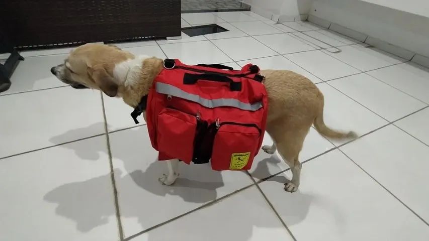 Mochila Dorsal para Adestramento de Cães PORTE GRANDE - Treinamento - Foto 2