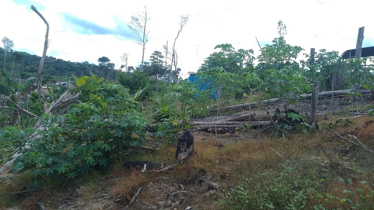 Terreno na BR 174 km 12