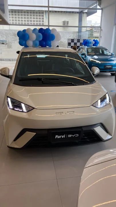 BYD DOLPHIN MINI 24/25 ZERO KM 