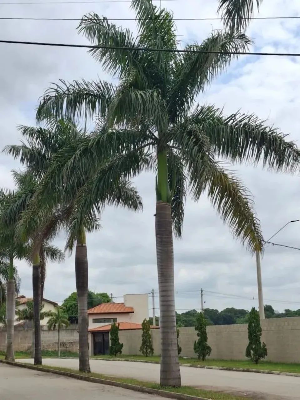Terreno em Condomínio para Venda em Sorocaba, Alto da Boa Vista - Foto 5