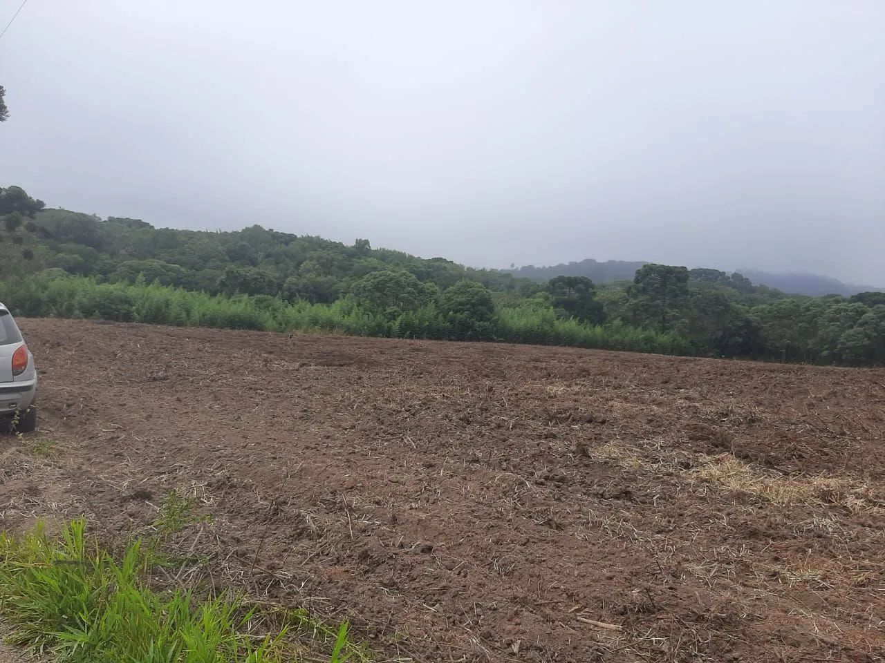 Chácara em Mandirituba 1,5 alqueires 