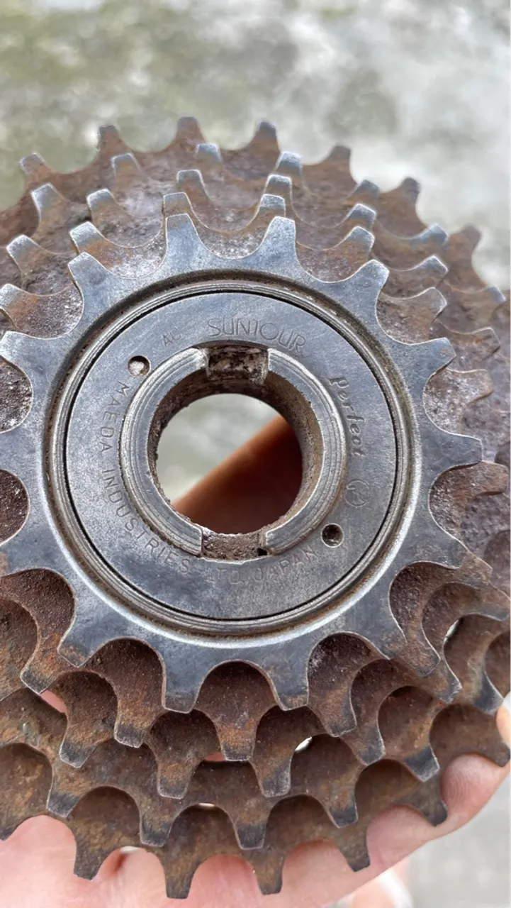 Roda Livre maeda SunTour Perfect 5v