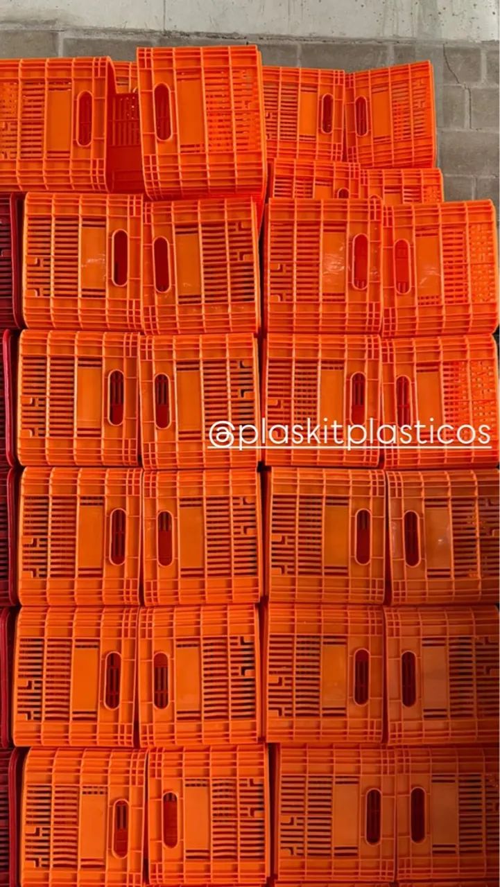 Caixa de  Plástica - Organização  - Foto 2