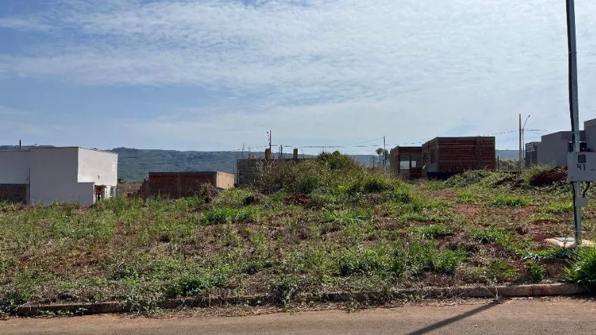 Terreno 125m² Documentado - Loteamento Adauto Leite - Delfinópolis/MG - Foto 4