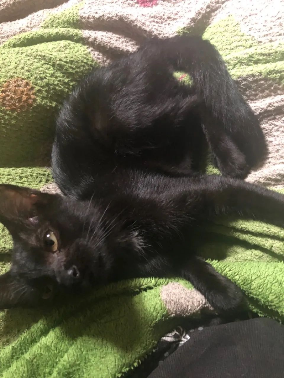 Doação responsável  - Foto 4