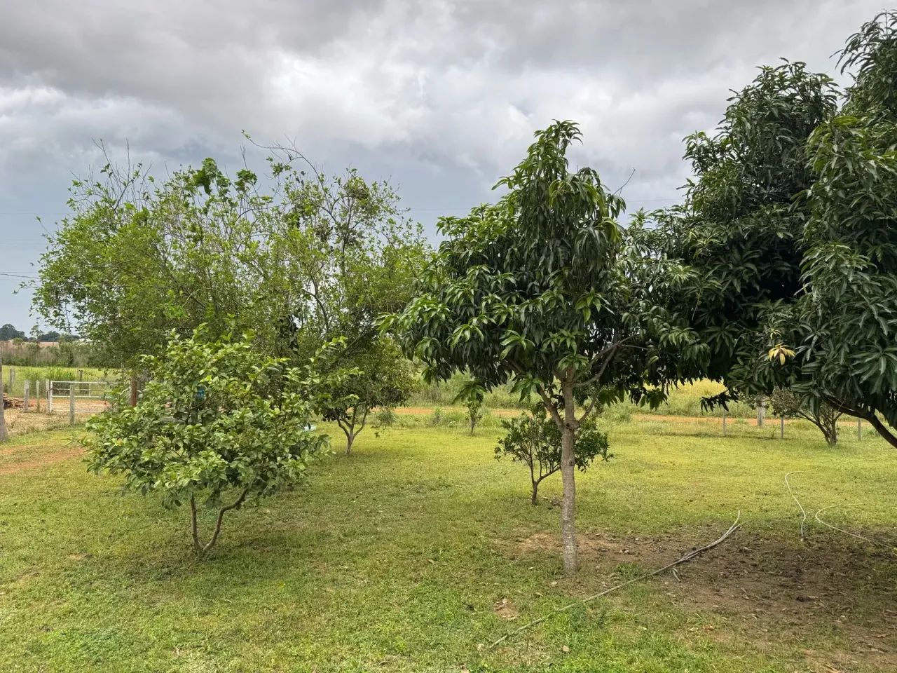 = Pequena Chácara para Finais de Semana  Ótima Localização ! - Foto 7