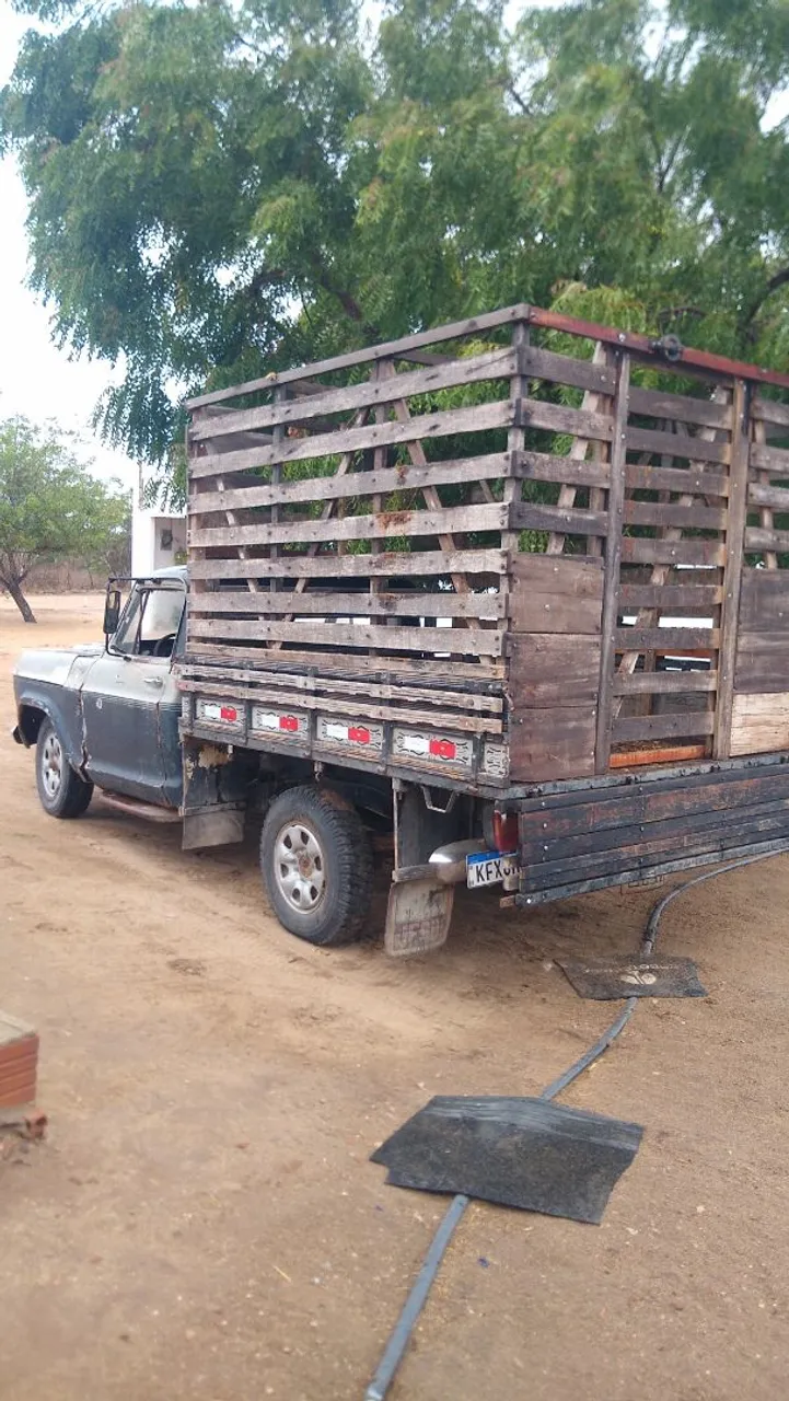 Vendo D10 81