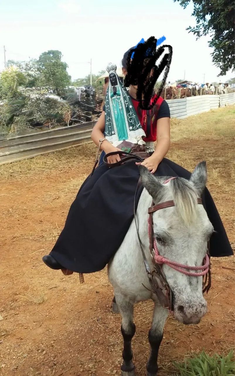 Pônei super mansa  - Foto 3