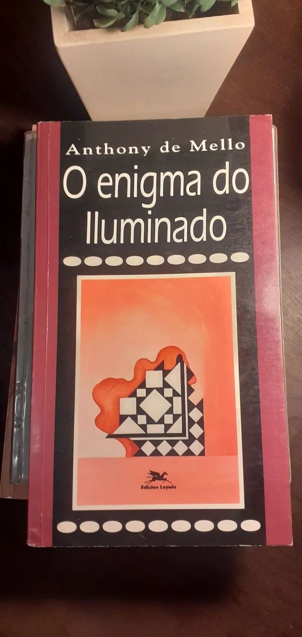 Livro 'O enigma do iluminado'