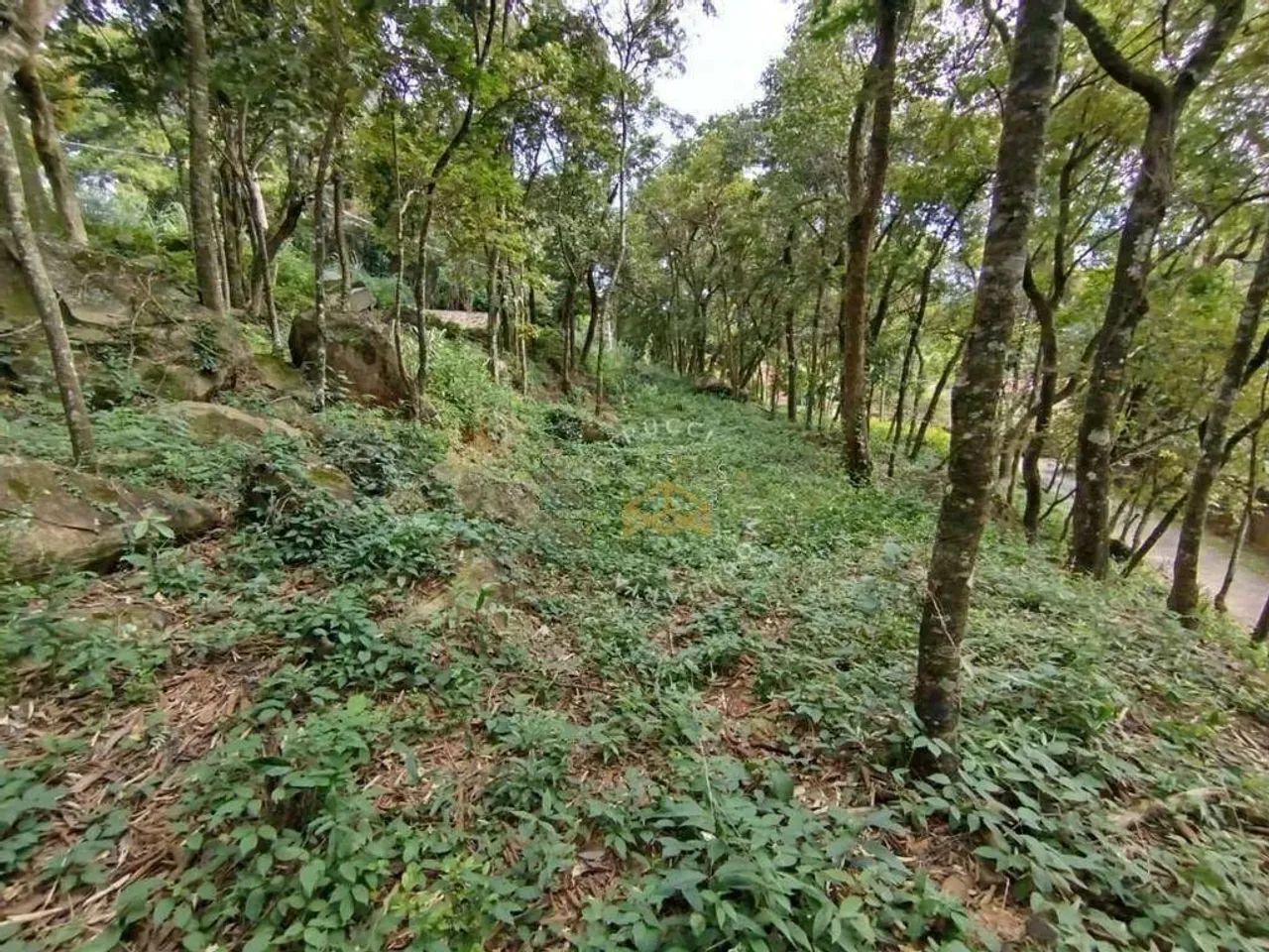 Terreno à venda, 1925 m² - Condomínio Nova Suiça - Valinhos/SP - Foto 2