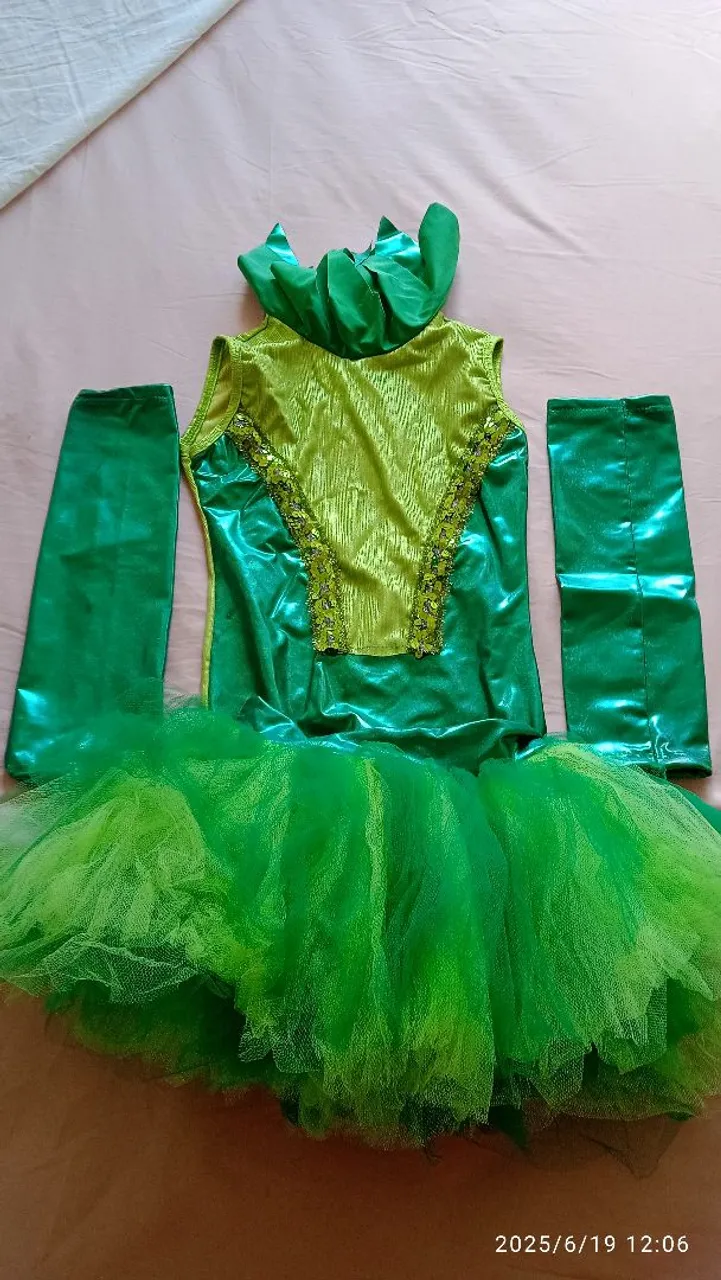 Fantasia de Fada Verde Infantil Completa