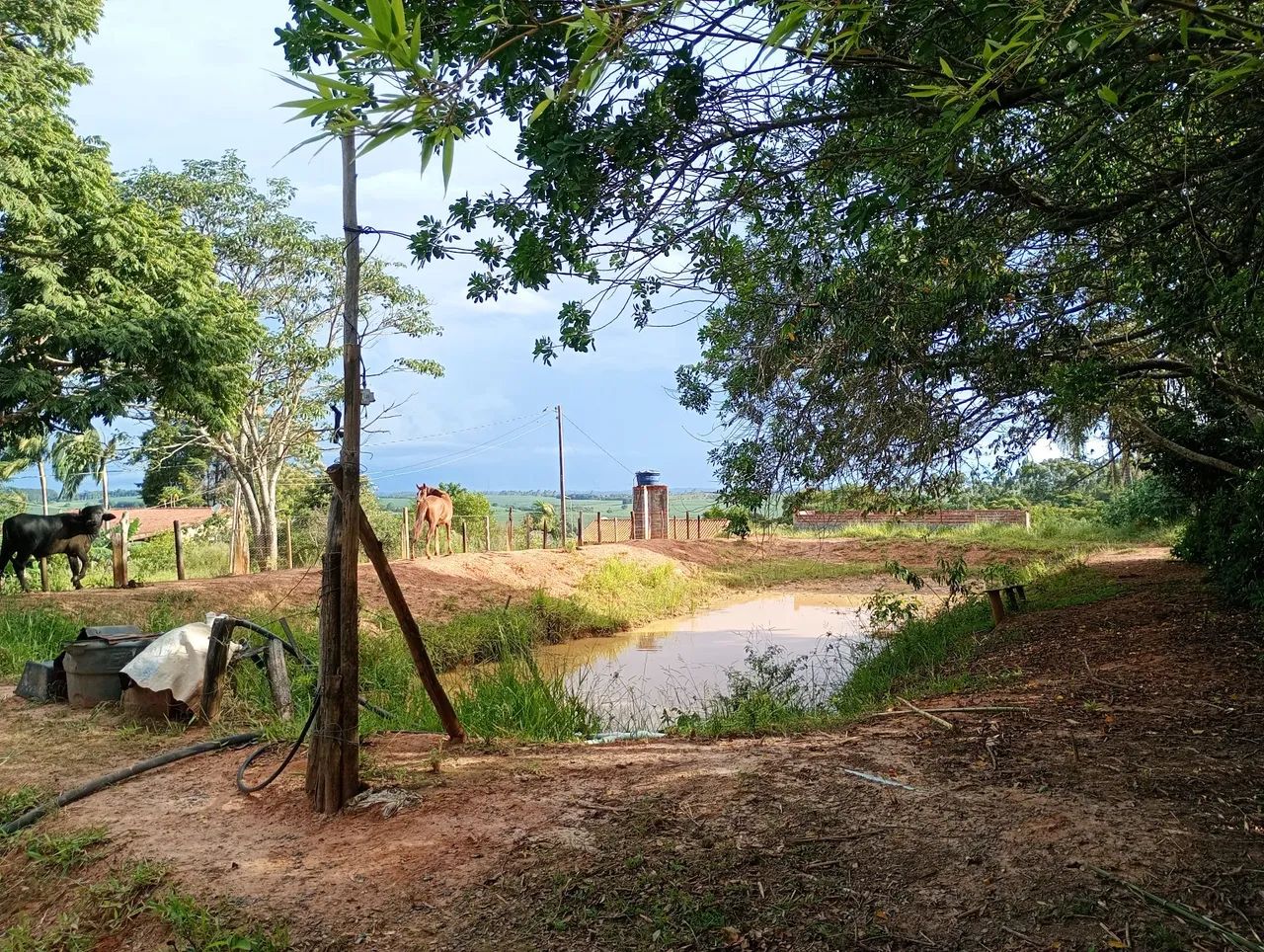 ? TERRENO A VENDA ? - Foto 3