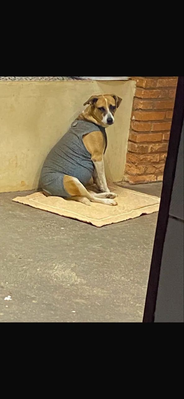 Doação 