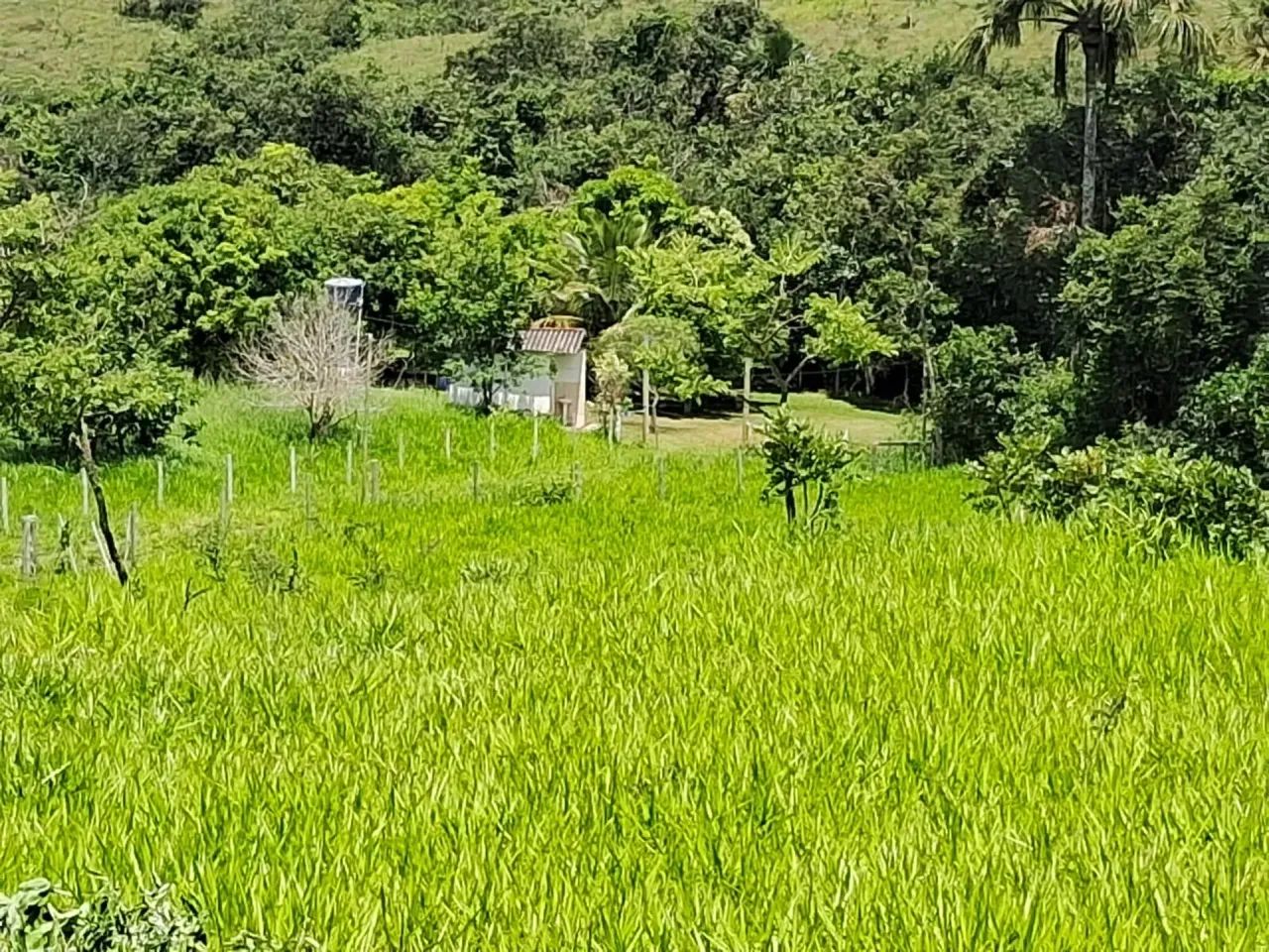 Chácara 20 hectares - com excelente logística - Foto 2