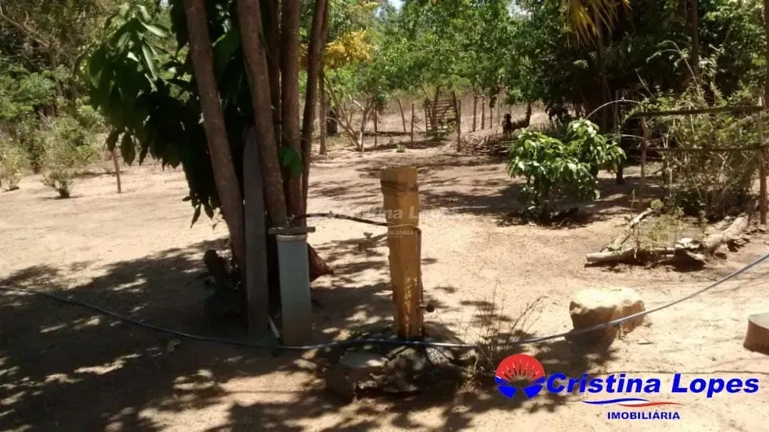 Sitio no Povoado Soinho, Teresina-PI - Foto 5
