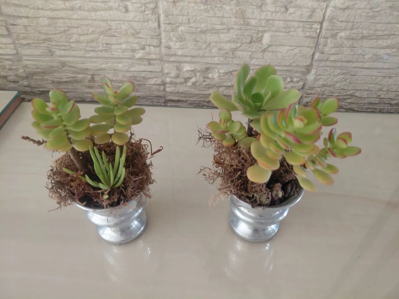 Jardinagem  - Foto 2