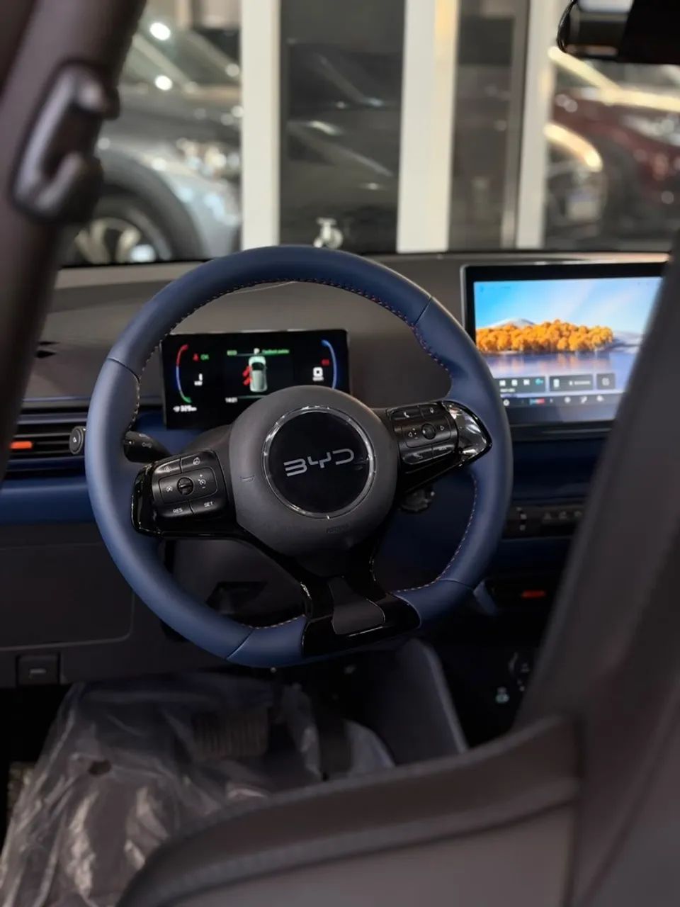 BYD Dolphin Mini (Elétrico) 2027 - Foto 4